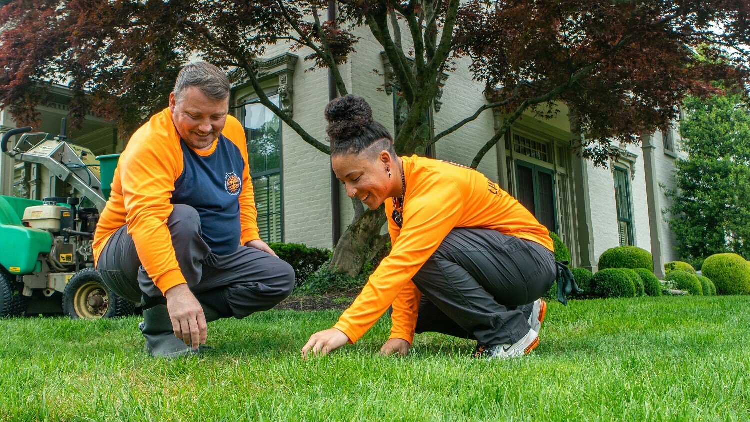 Lawn Care That Lasts: Professional Solutions For A Healthier Yard